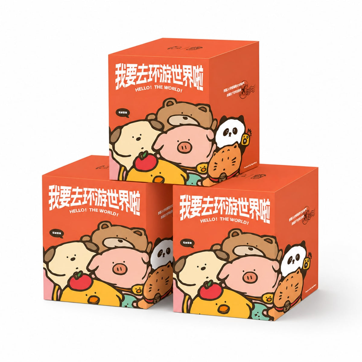 Hello The World Blind Box – Packaging | BigGallery