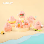 Roro’s Summer Plans Series Blind Box by BigGallery featuring six soft plush summer-themed collectible figures